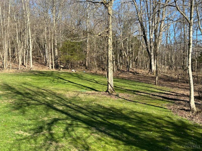 3960 Rapid Forge Road, Bainbridge, OH 45612 Photo 12