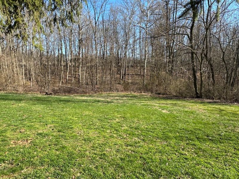 3960 Rapid Forge Road, Bainbridge, OH 45612 Photo 3