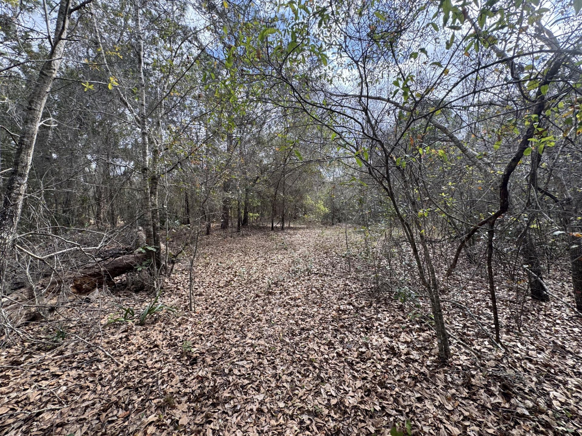 0 1st, Kenansville, FL 34739 Photo