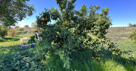 8055 Airola Rd, Vallecito, CA 95251 Photo