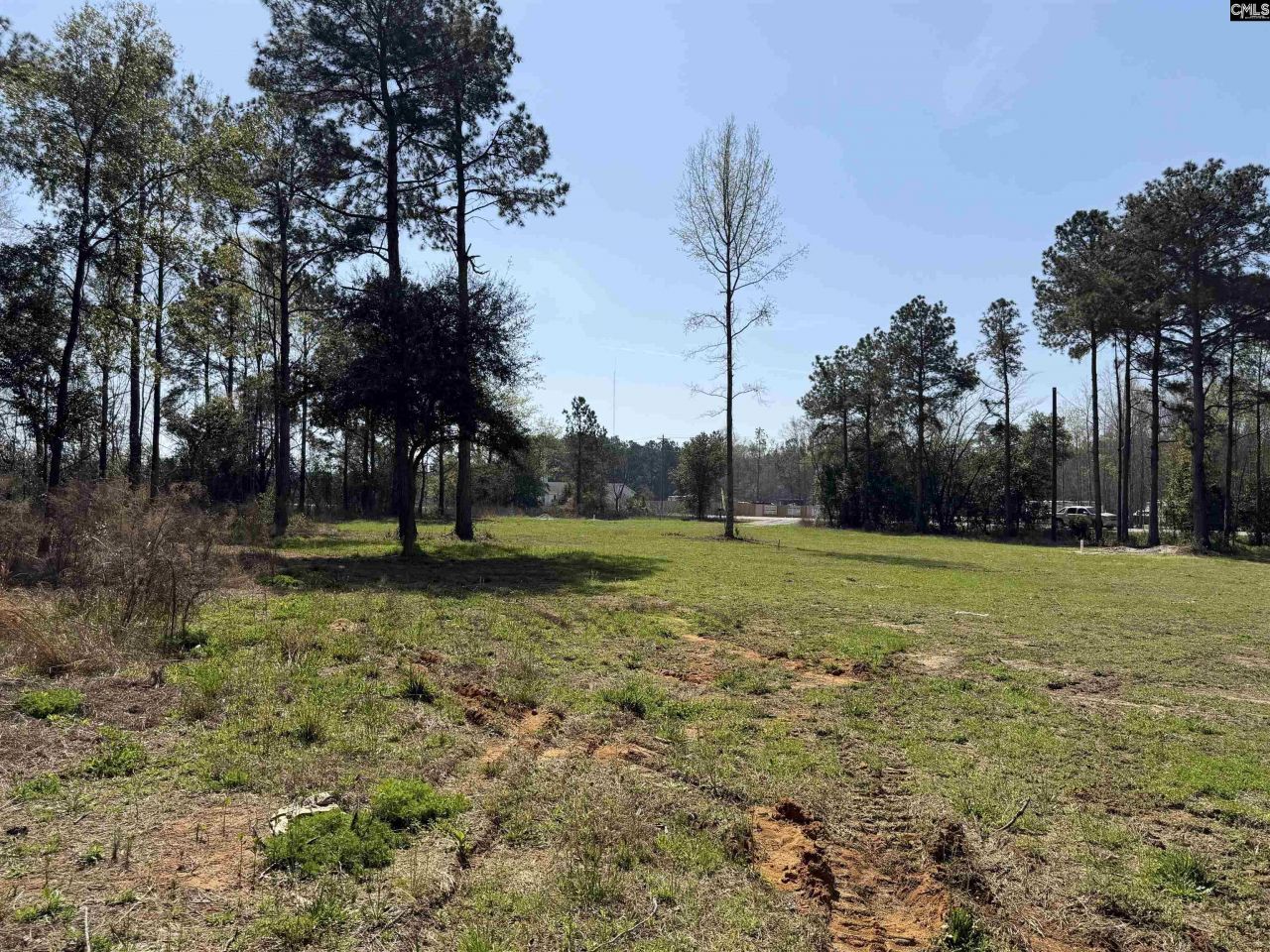 7533 Old Number Six Highway  Photo 11