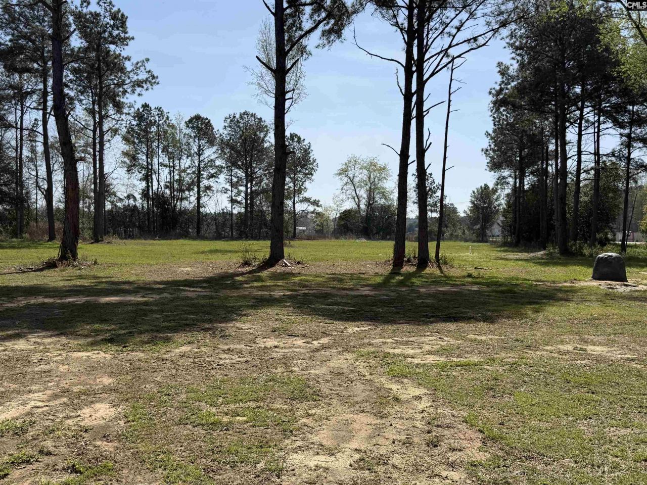 7533 Old Number Six Highway  Photo 4