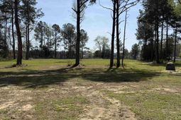 7533 Old Number Six Highway  photo 4