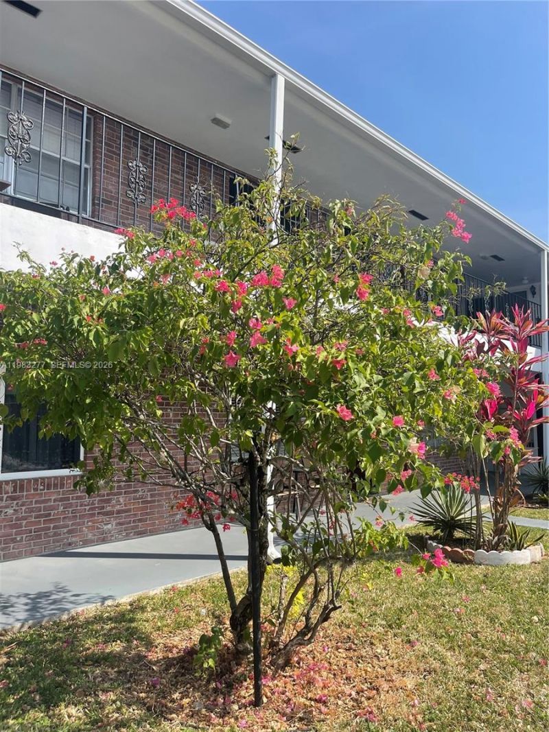 1050 Atlantic Shores Blvd, Unit 211, Hallandale Beach, FL 33009 Photo