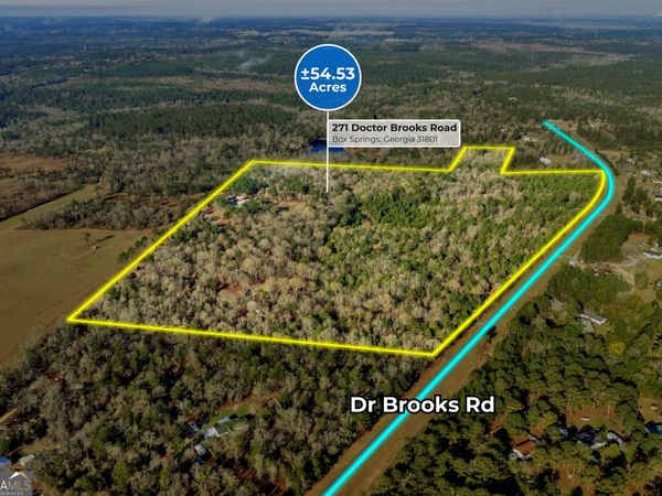 271 Dr Brooks Road, Box Springs, GA 31801