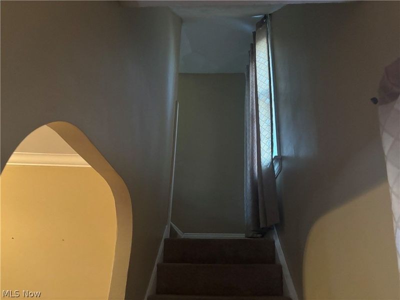 3703 W 134th Street, Cleveland, OH 44111 Photo 23