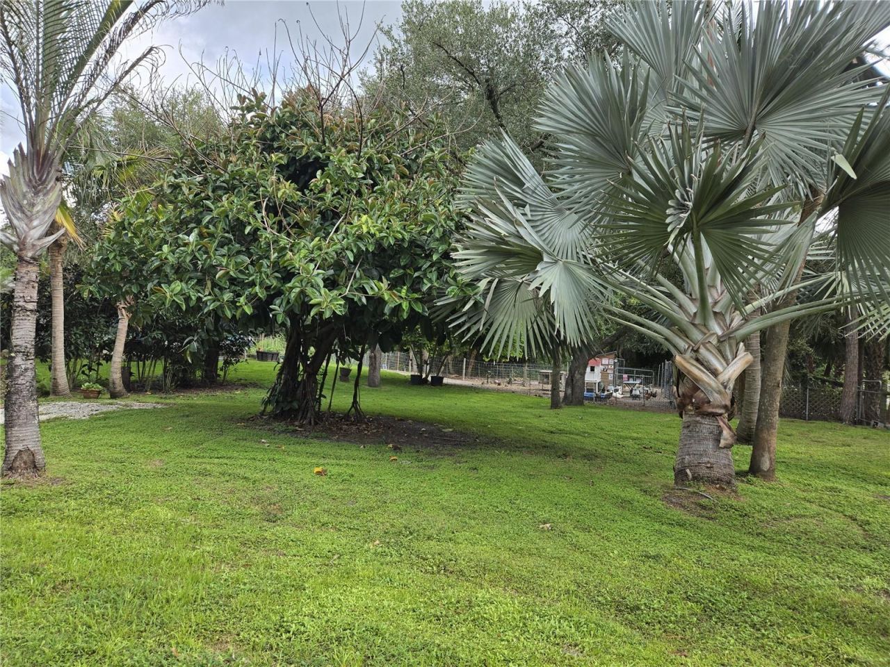 6649 Pimlico Street, North Port, FL 34291 Photo