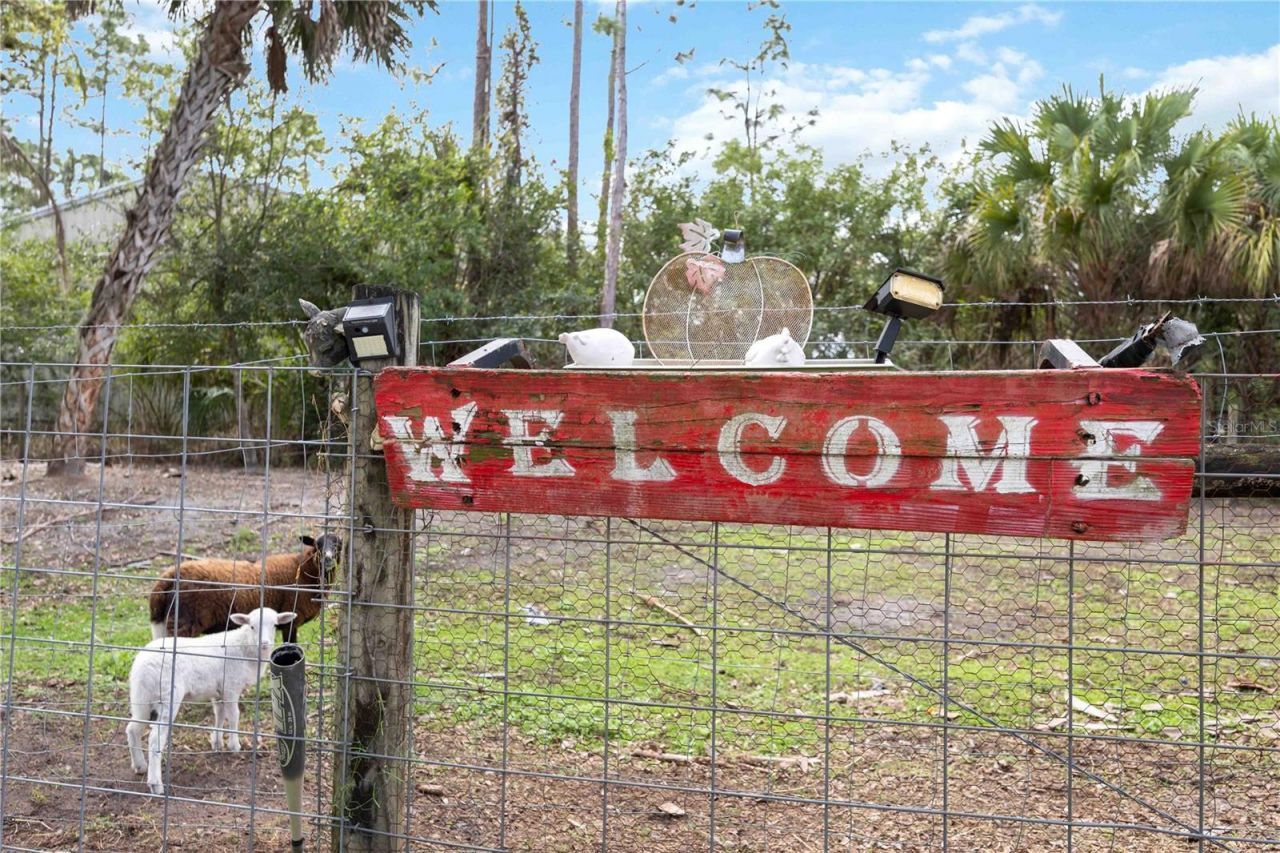 6649 Pimlico Street, North Port, FL 34291 Photo