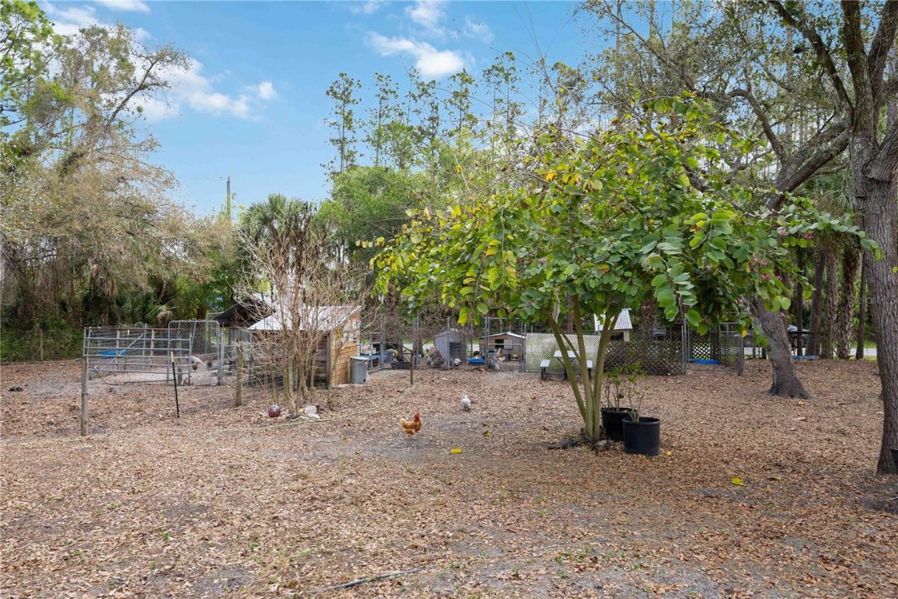 6649 Pimlico Street, North Port, FL 34291 Photo