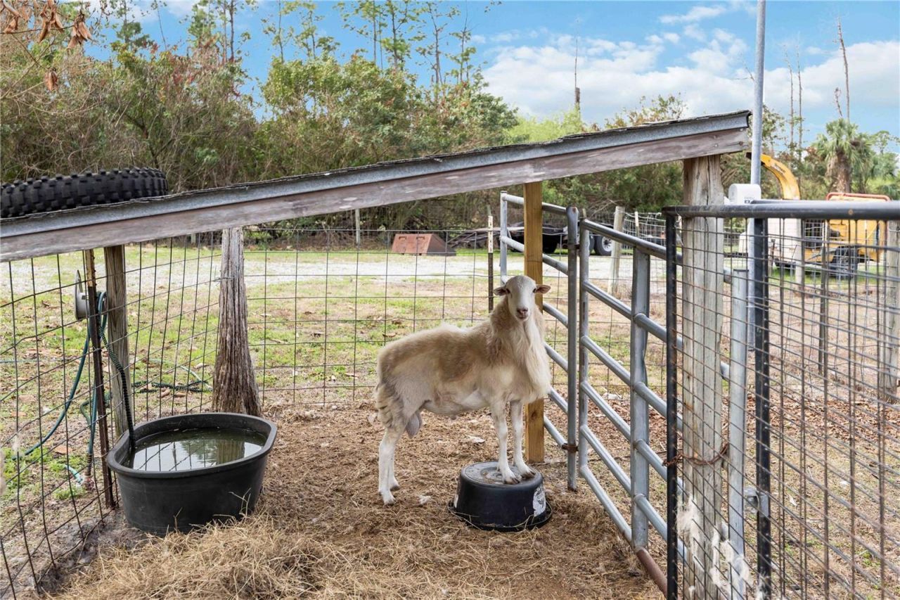 6649 Pimlico Street, North Port, FL 34291 Photo