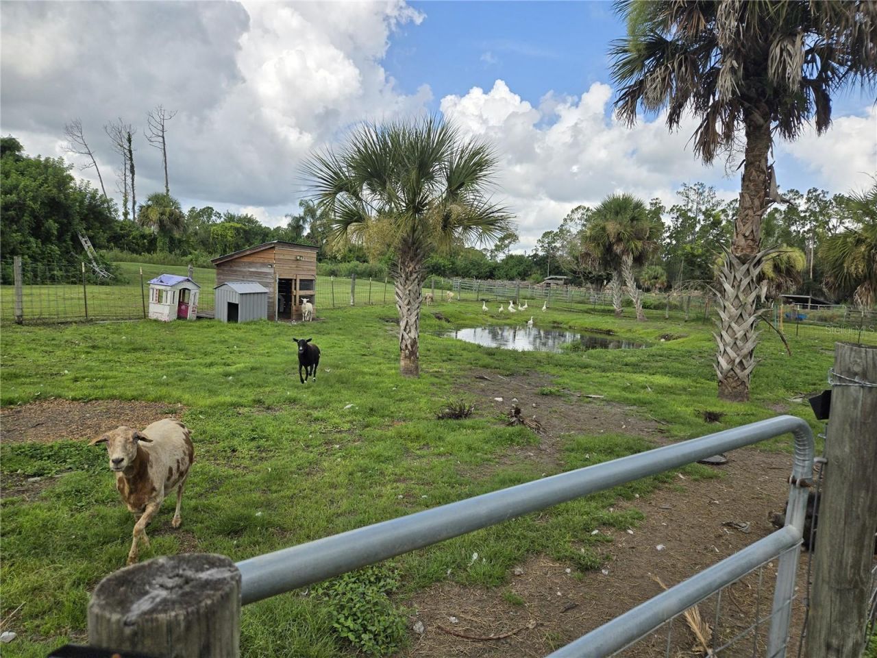 6649 Pimlico Street, North Port, FL 34291 Photo