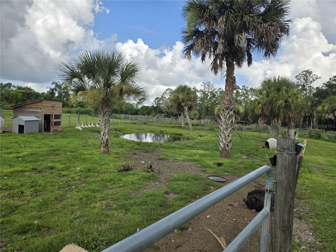 6649 Pimlico Street, North Port, FL 34291 Photo