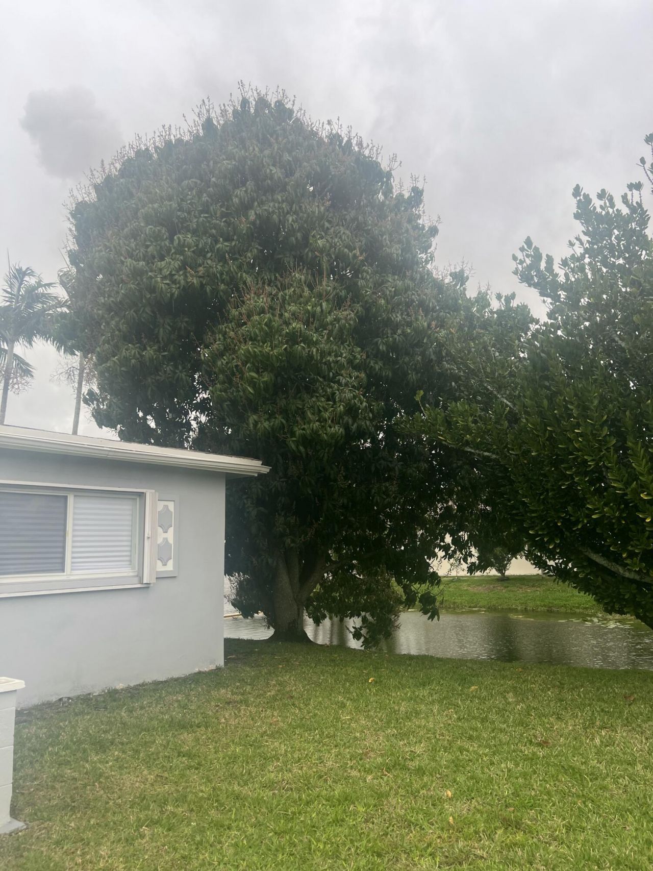 4680 NW 39th Street, Lauderdale Lakes, FL 33319 Photo