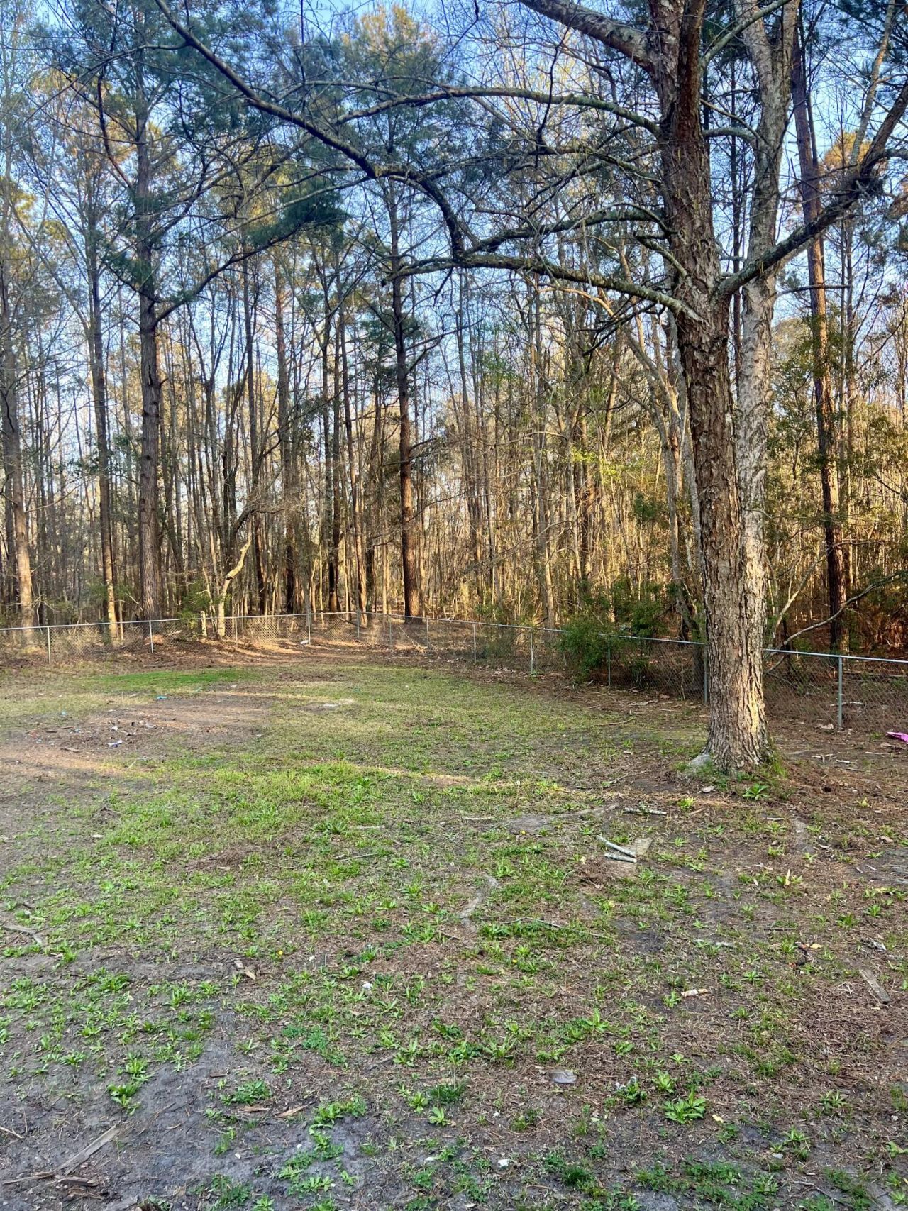 1343 Winding Creek Drive Photo 37