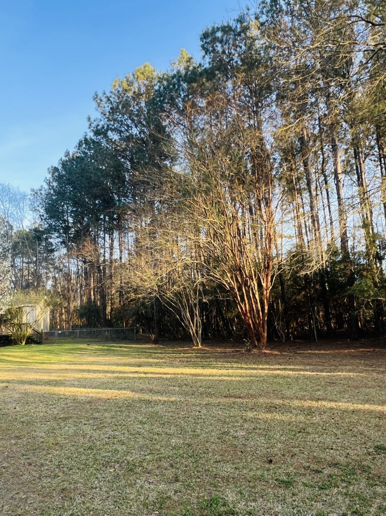 1343 Winding Creek Drive Photo 40