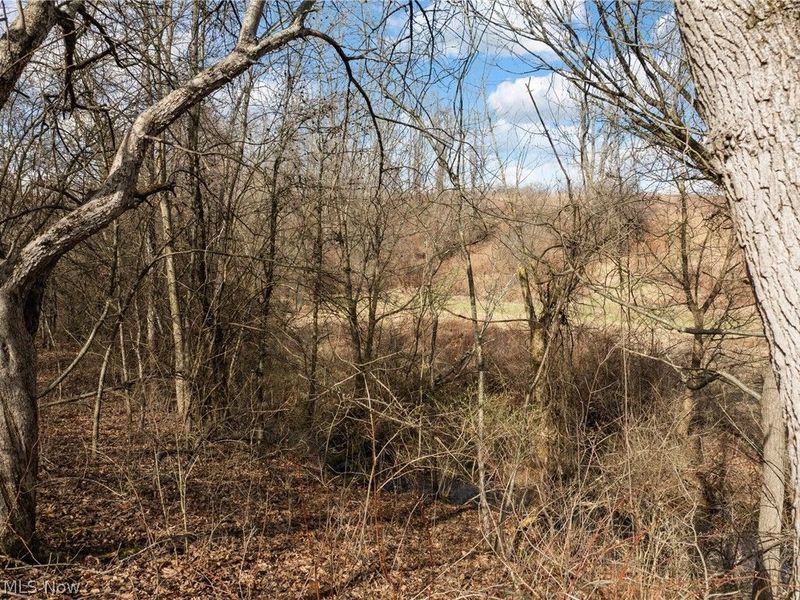 67137 Airport Road, Saint Clairsville, OH 43950 Photo 38