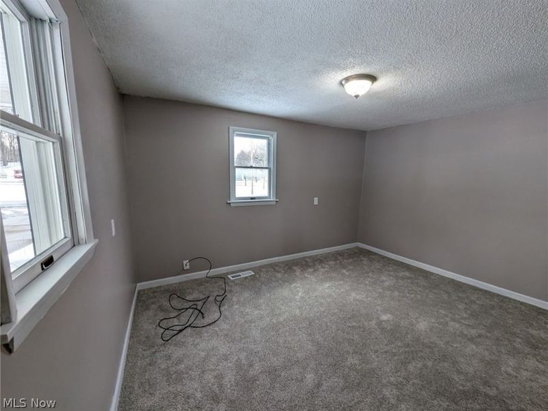 8754 State Route 534, Mesopotamia, OH 44062 Photo 18