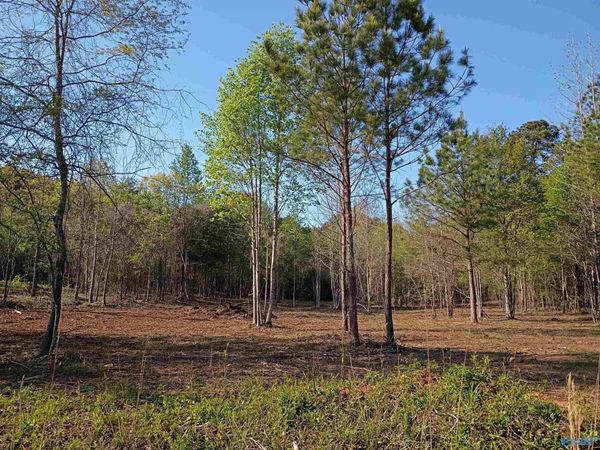 Tract 1 County Road 176, Piedmont, AL 36272