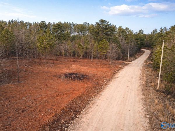 Tract 1 County Road 176, Piedmont, AL 36272