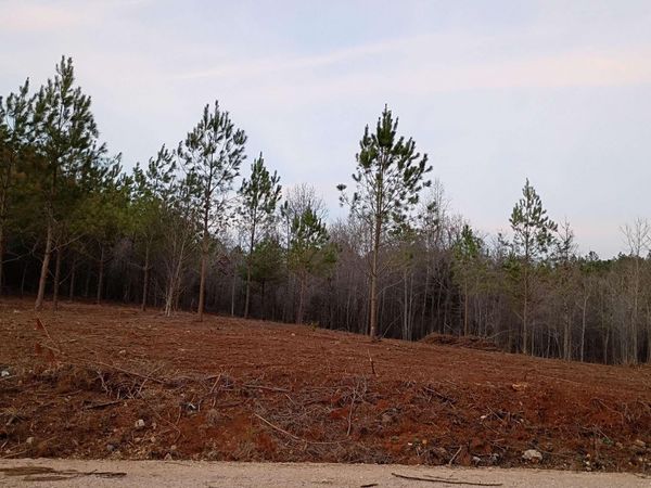 Tract 2 County Road 176, Piedmont, AL 36272