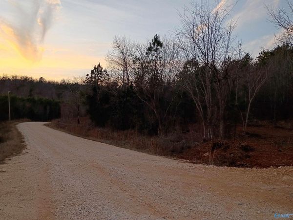 Tract 3 County Road 176, Piedmont, AL 36272