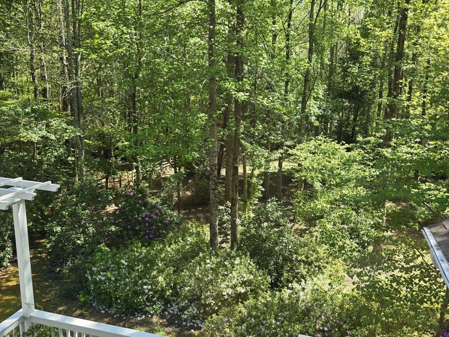 Property Image 101