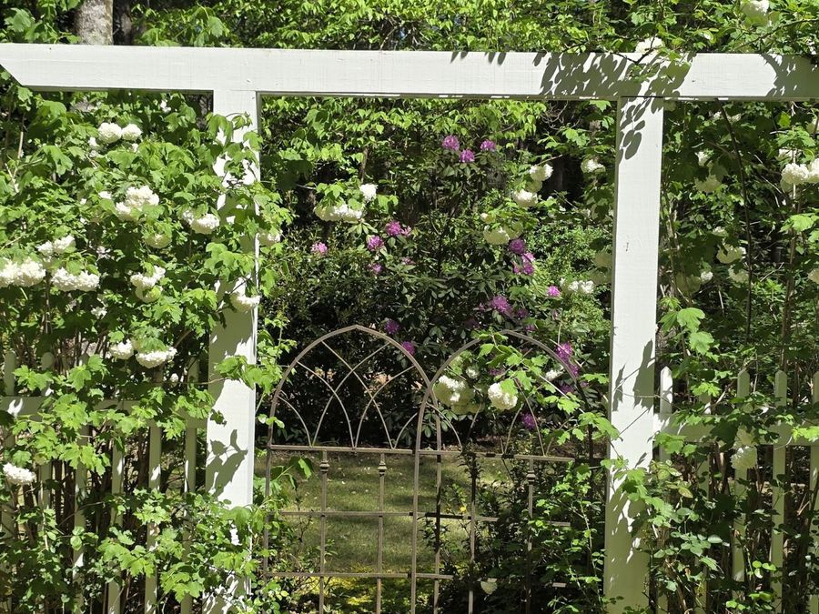 Property Image 91