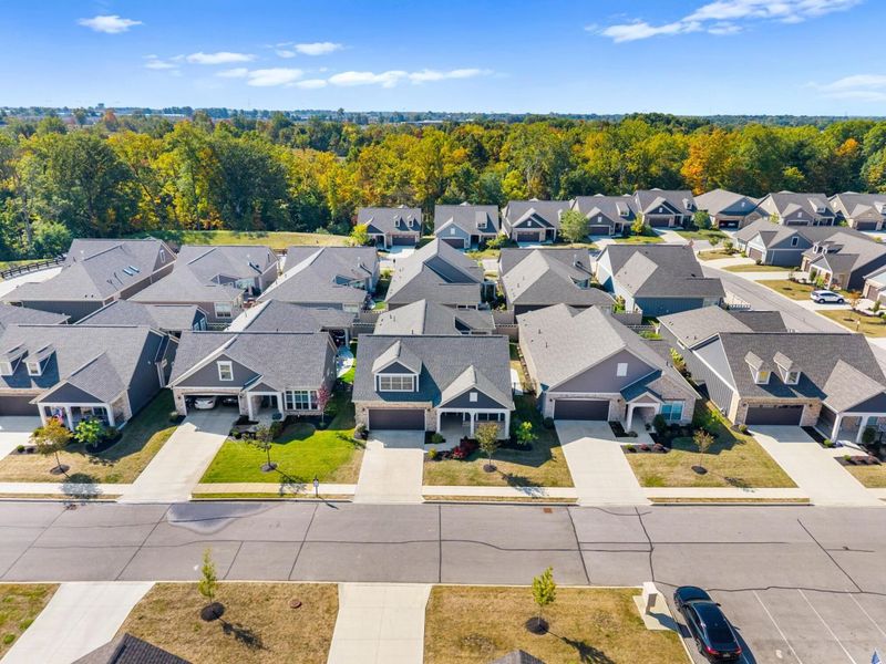 496 Garden Gate Lane, Lewis Center, OH 43035 Photo 54