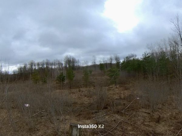 00 20 Mile Rd., Marion, MI 49665