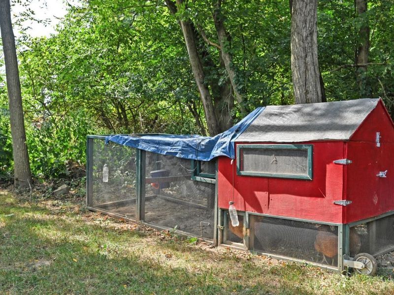 2590 Hunt Road, Reading, OH 45236 Photo 56