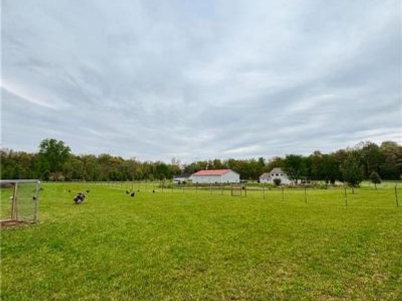 3524 Brumbaugh Road, Greenville Township, OH 45331 Photo 27