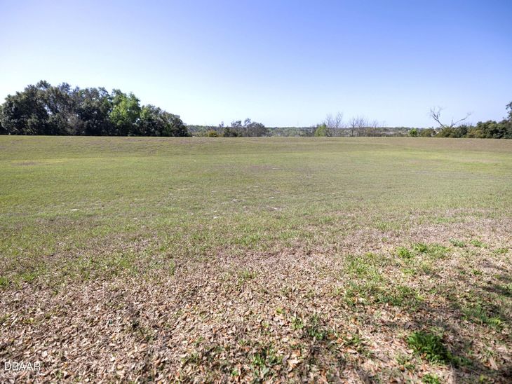 1292 Merion Drive, Mount Dora, FL 32757
