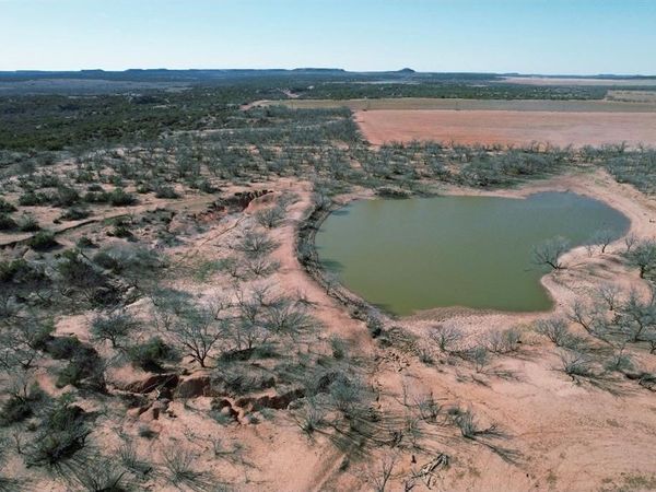 TBD TX-222, Knox City, TX 79529