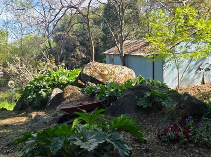 1661 Taylor Rd, Penryn, CA 95663 Photo