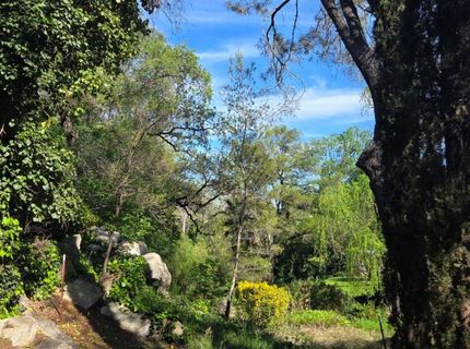 1661 Taylor Rd, Penryn, CA 95663 Photo