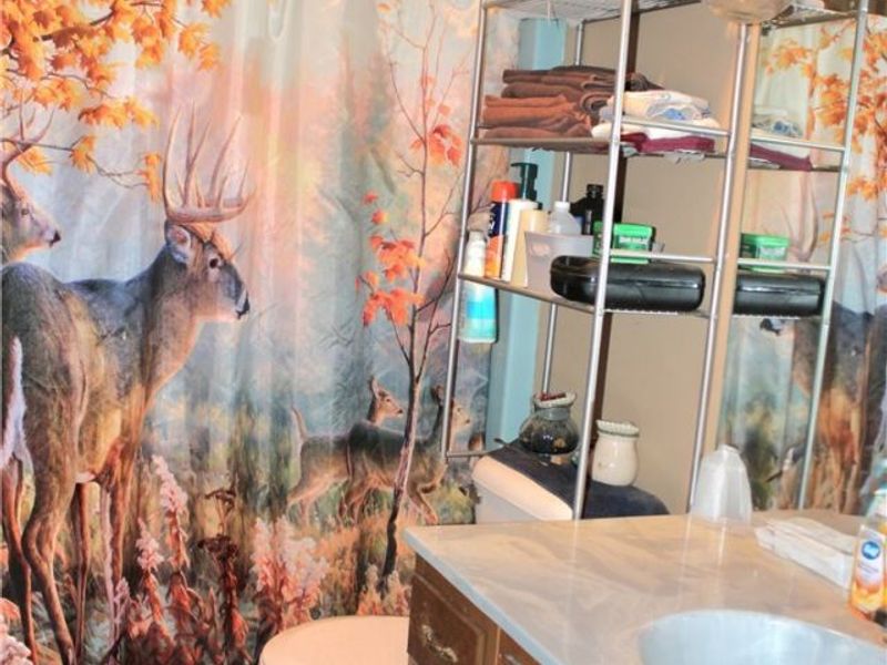 10670 County Road 6, Killbuck, OH 44637 Photo 26