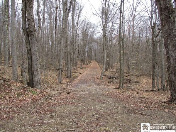 Homestead Rd, Bolivar, NY 14715