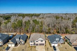 303 Lever Bottom Court  photo 4