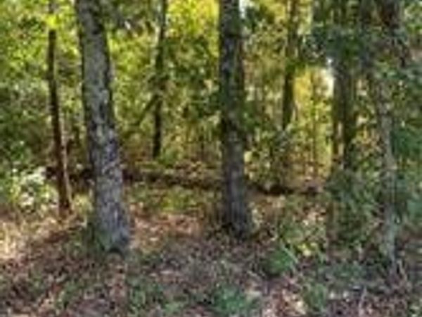 Letchworth Drive, Bella Vista, AR 72714