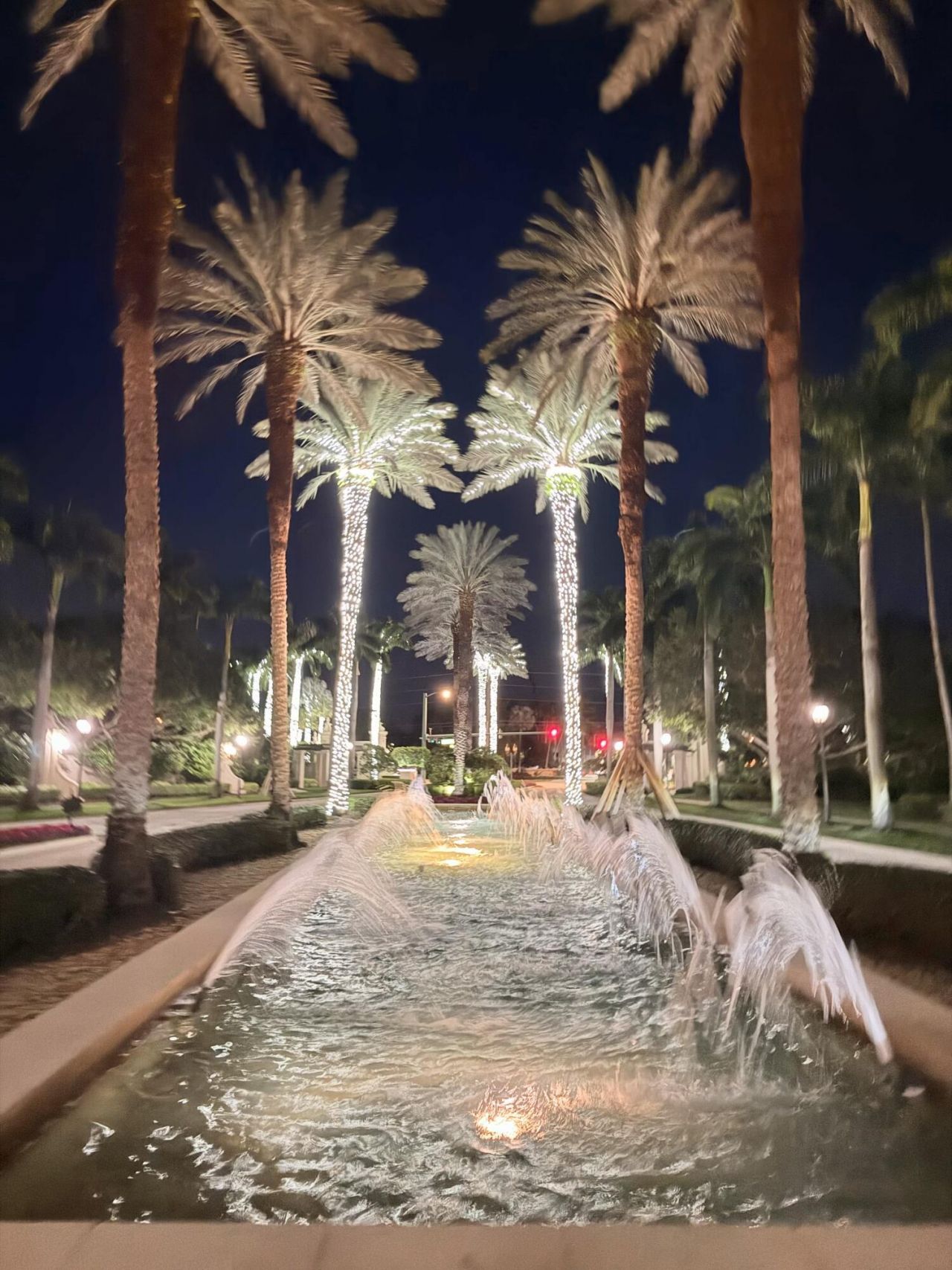 9689 Baywood Park Lane, Delray Beach, FL 33446 Photo