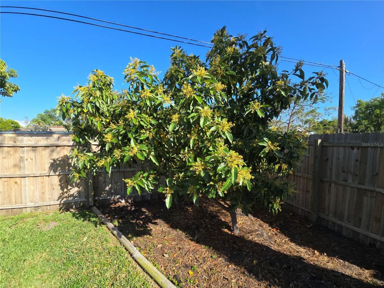 1411 29th Street W, Bradenton, FL 34205 Photo