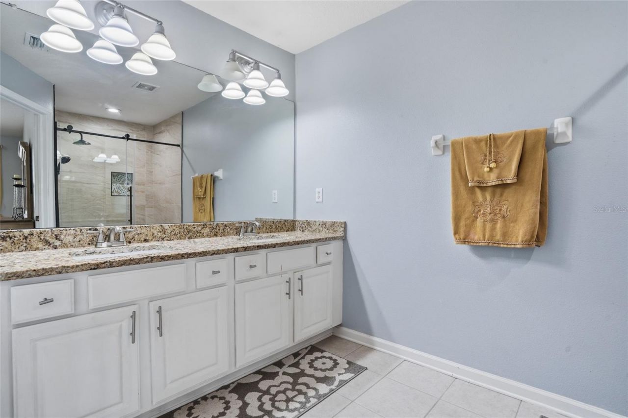 26611 Chimney Spire Lane, Wesley Chapel, FL 33544 Photo
