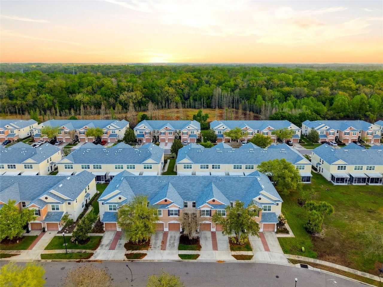 26611 Chimney Spire Lane, Wesley Chapel, FL 33544 Photo