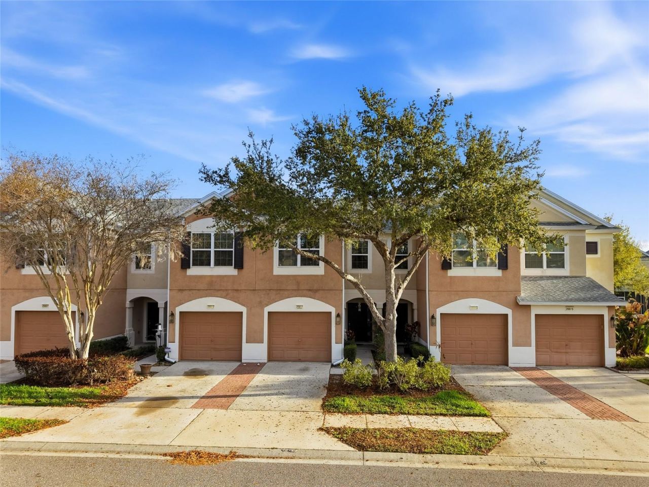 26611 Chimney Spire Lane, Wesley Chapel, FL 33544 Photo