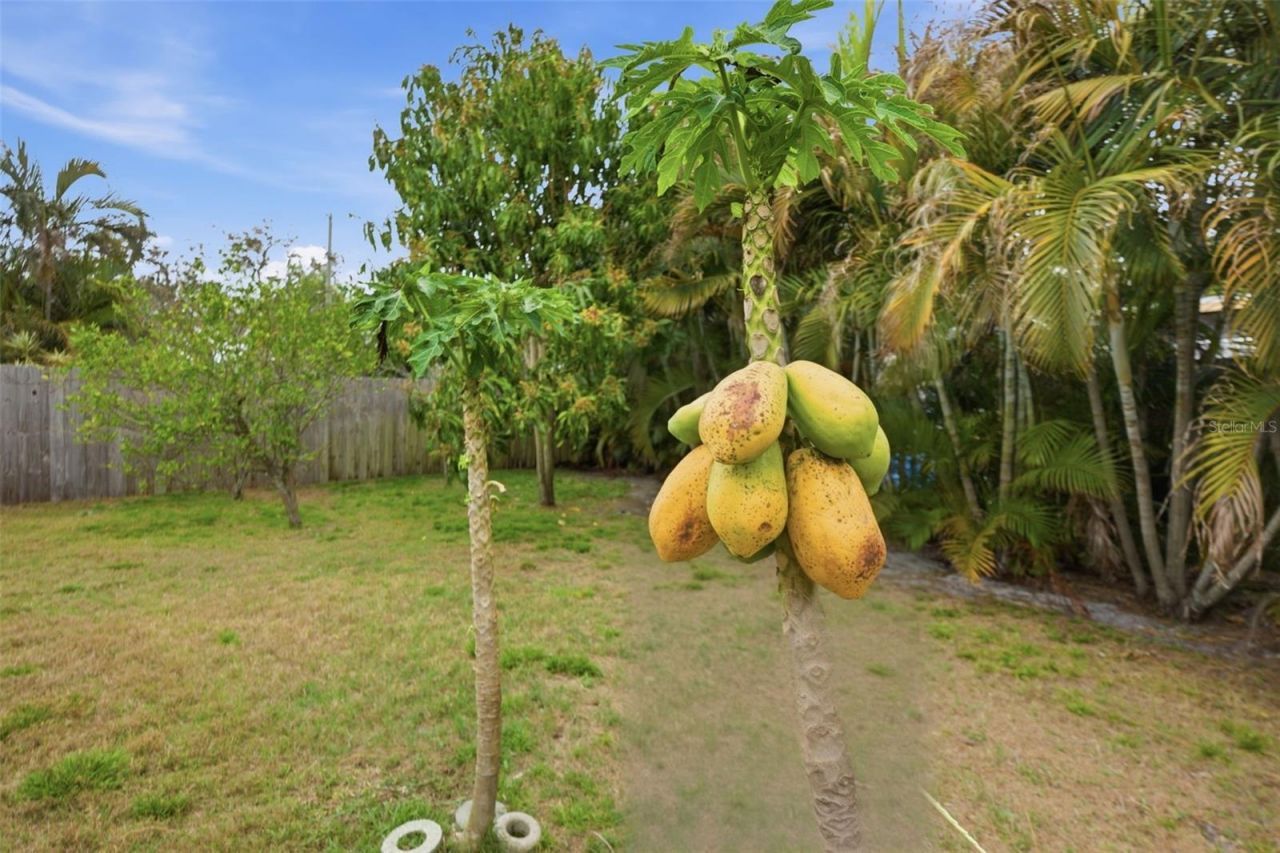 2036 W Ridge Drive, Clearwater, FL 33763 Photo