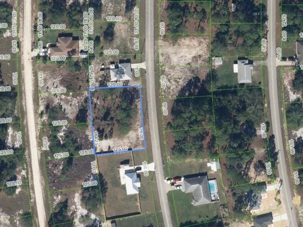 620 LAKE BETTY DRIVE , LAKE PLACID, FL 33852