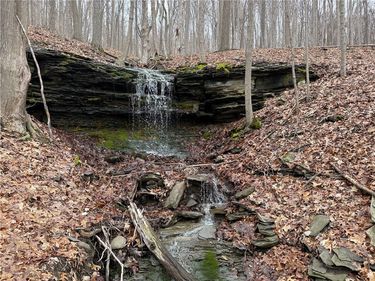 1592 Emerson Road , Middlesex, NY 14507