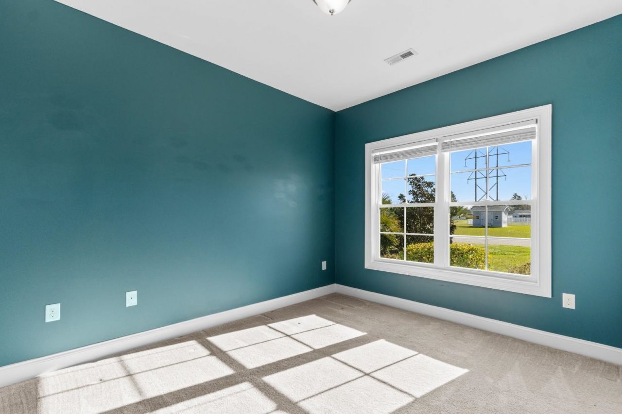 313 Basswood Ct. Photo 23