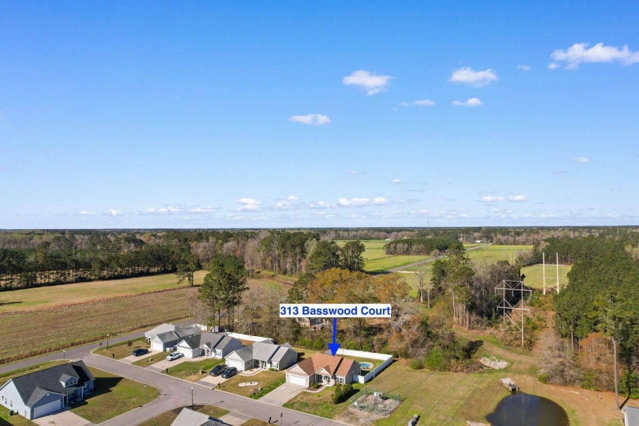 313 Basswood Ct. Photo 36