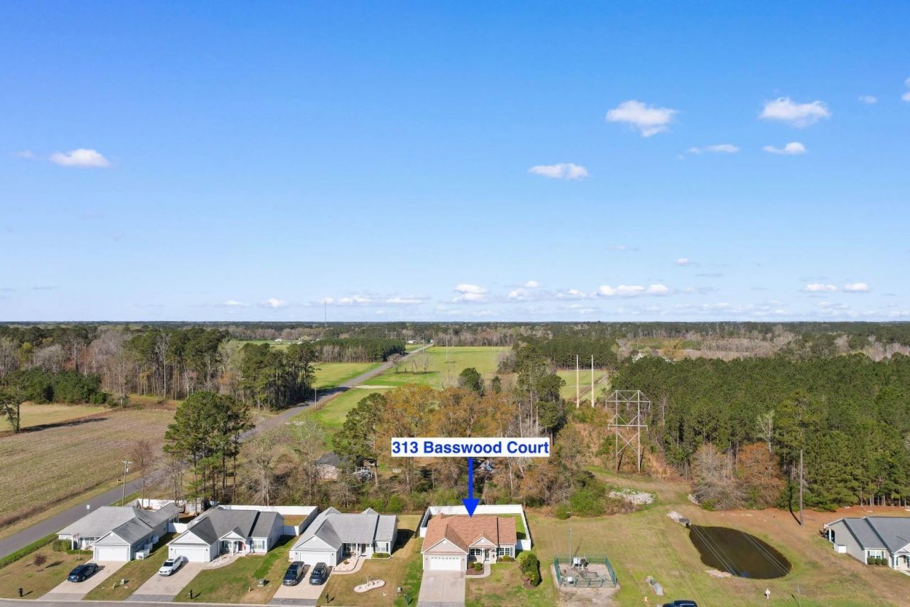 313 Basswood Ct. Photo 38